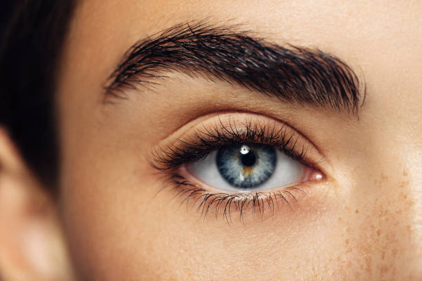 Mink or Silk False Lashes – Which Are Better?